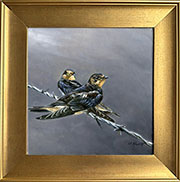 Swallows-framed750