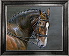 Ziano-horse-framed
