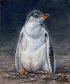 Link to baby gentoo penguin