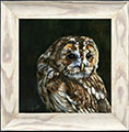 Tawny-in-frame