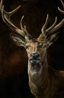 Deer2