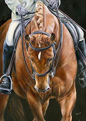 HORSE-AND-RIDER.3