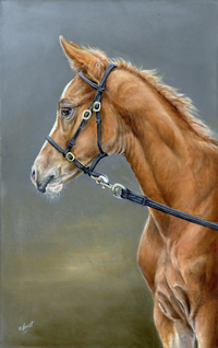 Hold-the-foal