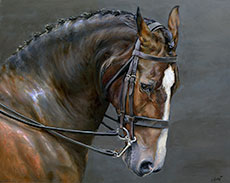 Ziano-horse-2022