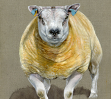 Beltex ram painting