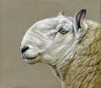 Cheviot ram painting