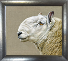 Cheviot-tup-framed