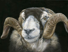 Swaledale ram painting